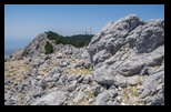Kefalonia - Ainos National Park -20-06-2021 - Bogdan Balaban